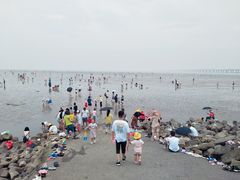 -南汇新城海滩