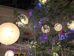 -馋嘴猫北京食堂·烤鸭·宵夜(亚运村店)