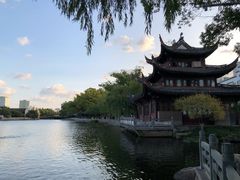 -月湖公园