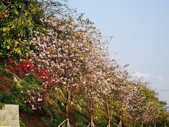 -小南山公园