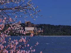 -颐和园