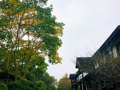 -西溪国家湿地公园