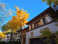 -龙湖星悦荟(颐和店)