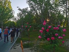 -回龙观体育文化公园