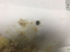 -红宝石·鲜奶小方·海派西点房(金杨店)