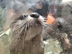 -波塞冬旅游度假区