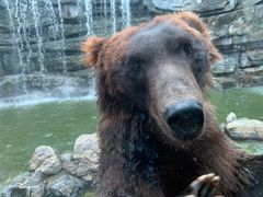 -北京野生动物园