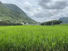 -万峰林风景区
