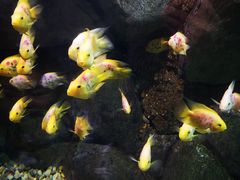 -苏州海洋馆