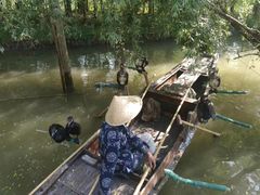 -溱湖国家湿地公园