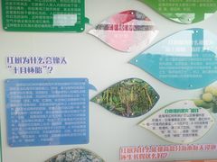 -北海金海湾红树林生态旅游区