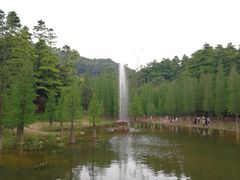 -广州市帽峰山景区