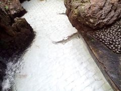 android_upload_pic-金城宾馆