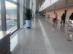-青岛胶东国际机场