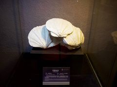 -中华赏石园
