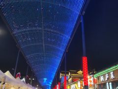 -老头儿油爆虾(胜利河美食街店)