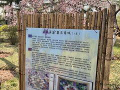 -济南植物园