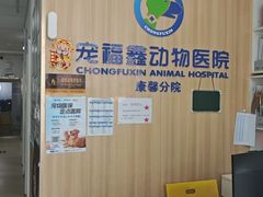 -宠福鑫康馨动物医院·骨科·眼科