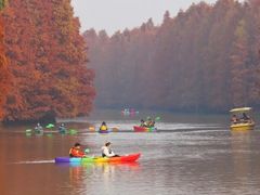 -上海海湾国家森林公园