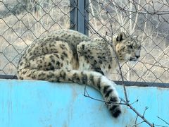 -青藏高原野生动物园
