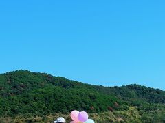 -东海半边山旅游度假区