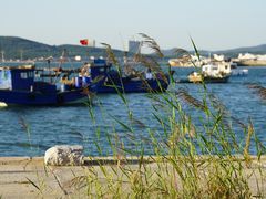 -威海大水泊国际机场