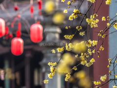 -钱王祠
