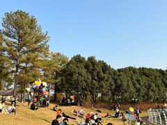 -美兰湖景区