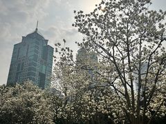 -陆家嘴中心绿地
