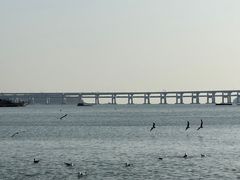 -星海广场
