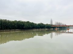 -高东镇樱花园