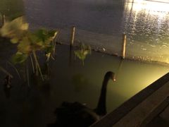 -金桥现代产业园区-停车场