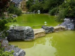 -吴淞炮台湾湿地森林公园烧烤区