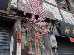 -磁器口古镇
