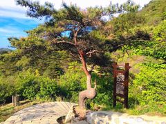 -金龙寺国家森林公园
