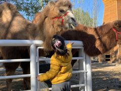 -长白岛森林公园