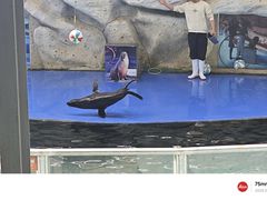 -泉州海丝野生动物世界