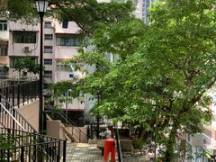 -香港佐治五世纪念公园