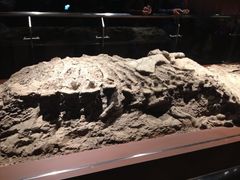 iphone_upload_pic-世界恐龙谷景区