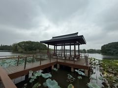 -上海市保健医疗中心