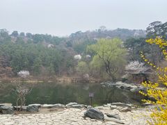 -香山公园