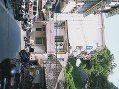 -东河市场