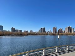 -莲花池公园