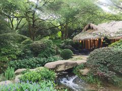 -中国茶叶博物馆(双峰馆区)