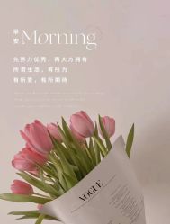 -LUNA皮相美·骨相美高级美感