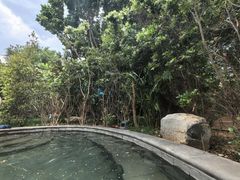 -大理小河淌水温泉艺术小镇月亮湾温泉