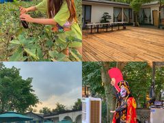 -凤来栖·净庭院·火锅(欧尚店)