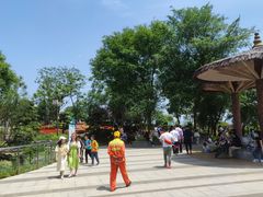 -铁山坪森林公园