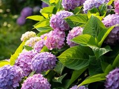 -湖南烈士公园(芙蓉区)