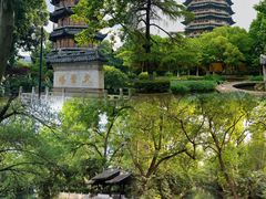 -红梅公园